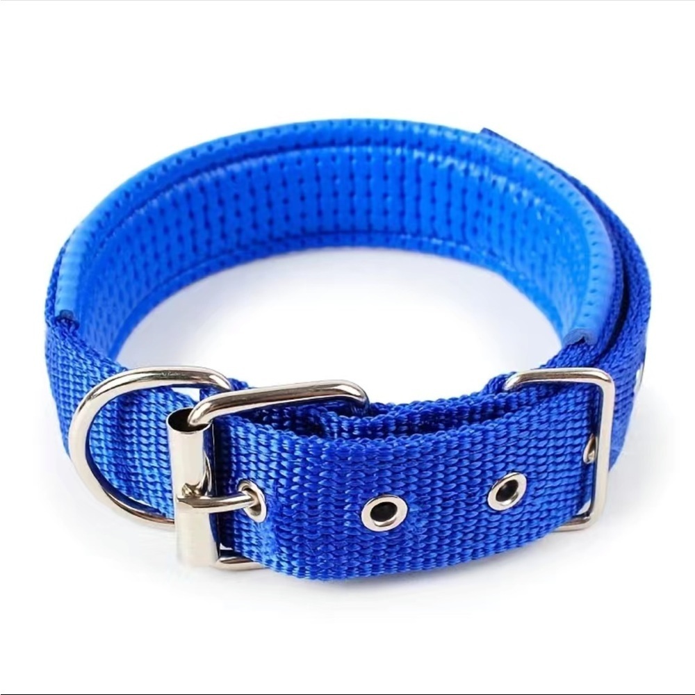 Adjustable Hoop Blue Dog Collar